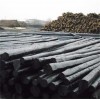 厂家专供各种型号 防腐油木杆任丘市振华防腐材料有限公司