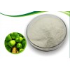 宏兴食品级酶制剂木瓜蛋白酶用量