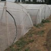 加厚耐用蚂蚱网棚厂家定做蝗虫养殖活动网棚