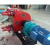 高粘度大流量型蠕动泵 工业软管蠕动泵厂家直销
