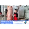 黄金脆皮烤猪技术培训-宁静烤猪技术-烤猪技术培训