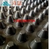 沧州聚乙烯防水板全新塑料排水板厂家直供